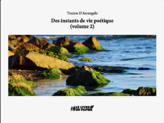 Des instants de vie poétique » volume 2